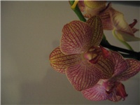 53ef22f9-Picture 020.jpg